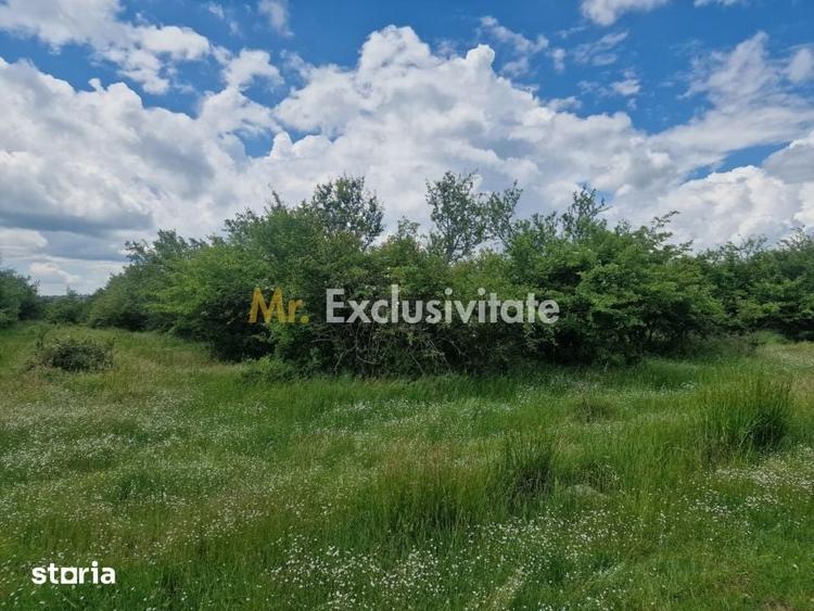 Teren de 3006 mp, în Mărășești