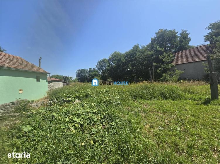Teren de 2400 mp, în Viștea