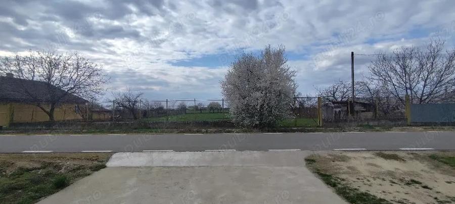 Teren de 2914 mp, în Șiria