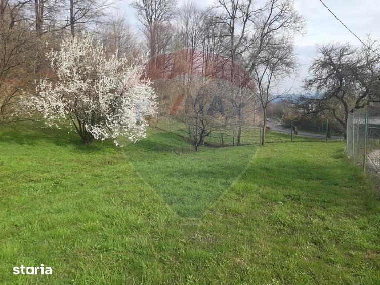 Casă cu 7 camere cu Teren 3580 Mp în Tohănița