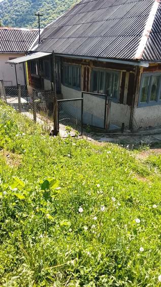 Casă cu 3 camere cu Teren 900 Mp în Telciu