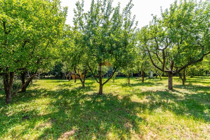 Casă individuală cu 17 camere cu Teren 3425 Mp în Central