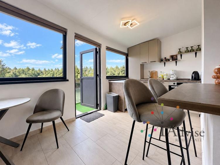 Apartament cu 4 camere decomandat, mobilat în Drumul Poienii