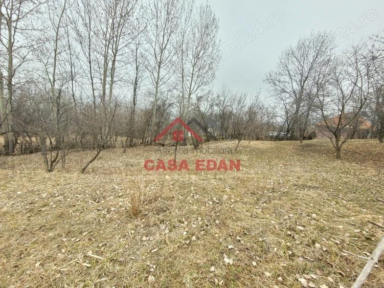 Casă cu Teren 1358 Mp în Gura Beliei