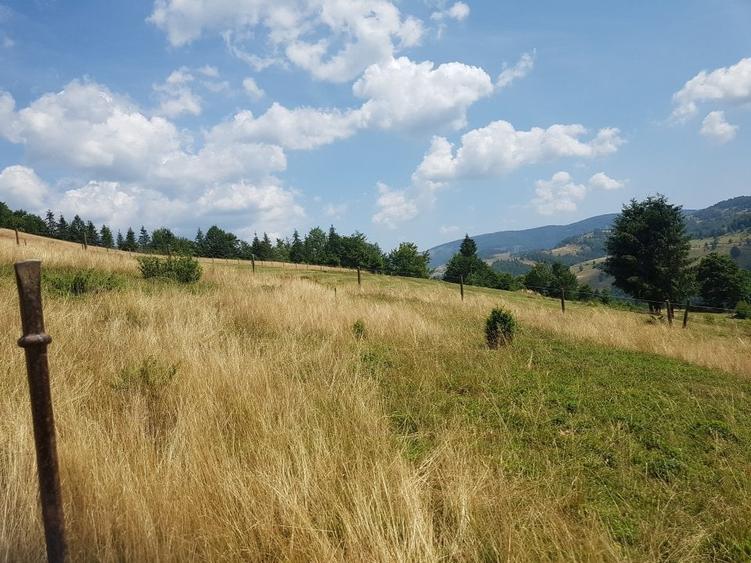 Teren Construcții extravilan de 7200 mp, în Arieșeni