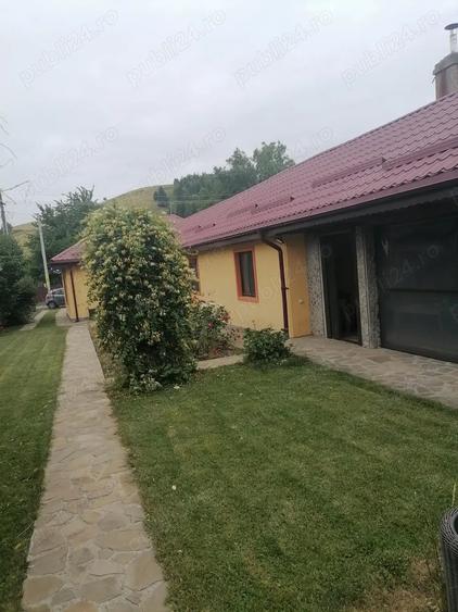 Casa superba la Almas - 12