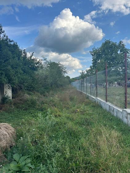 Casă individuală cu 3 camere cu Canalizare în Brănești