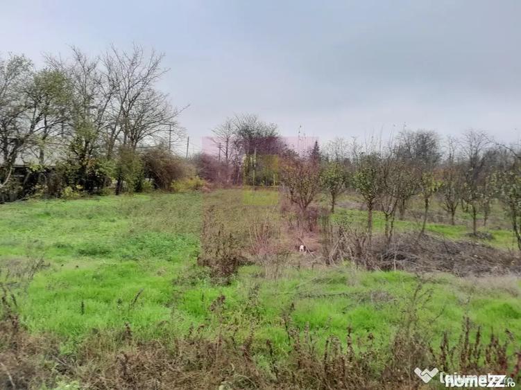 Casă cu 3 camere cu Teren 15000 Mp în Bărcănești