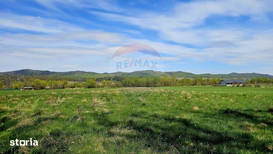 Teren de 10000 mp, în Vânători-Neamț