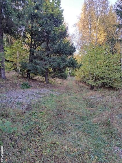 Teren de 2000 mp, în Băile Chirui
