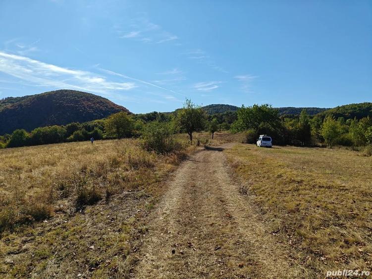 Teren de 35400 mp, în Balta