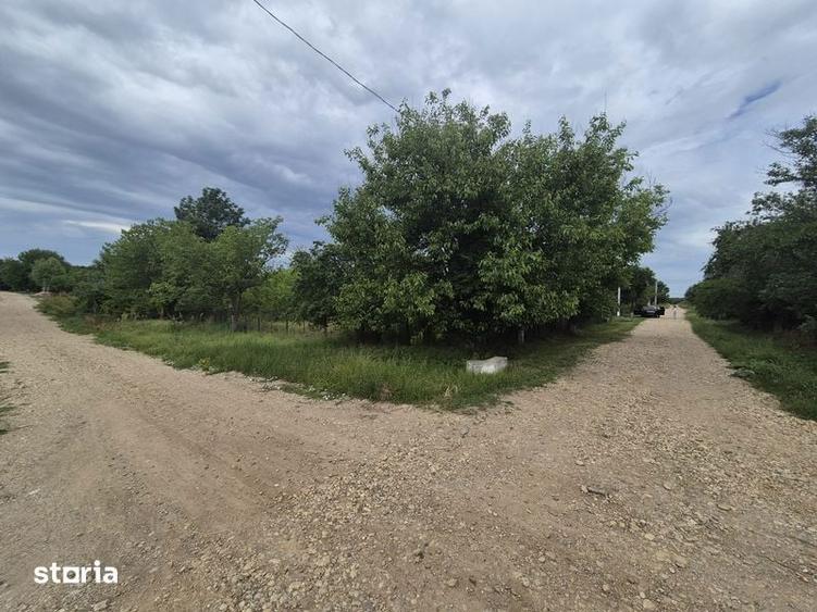 Teren de 2000 mp, în Central