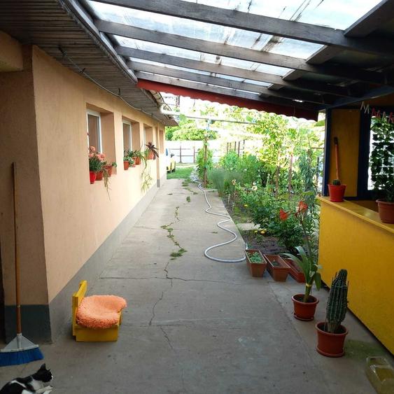 Casa P+1, individuala, curte generoasa, 50 km Bucuresti - 6
