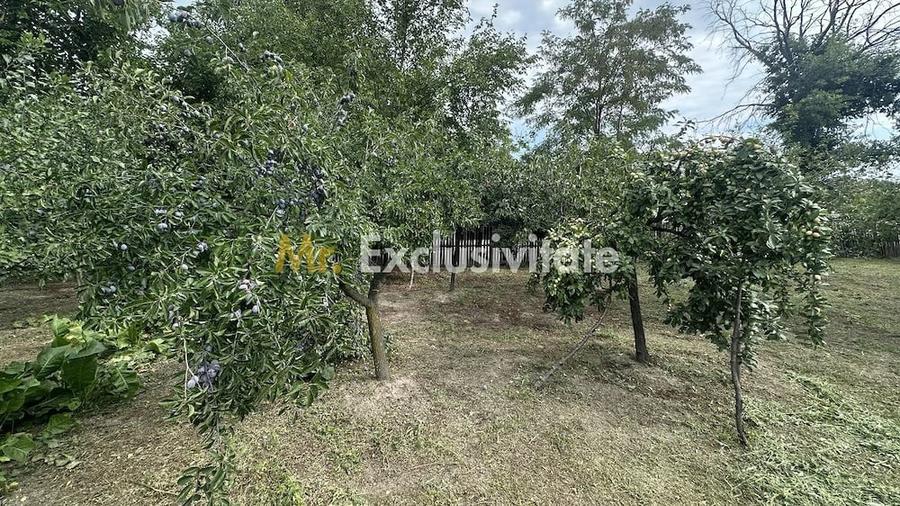 Casă cu Teren 1172 Mp în Lunca