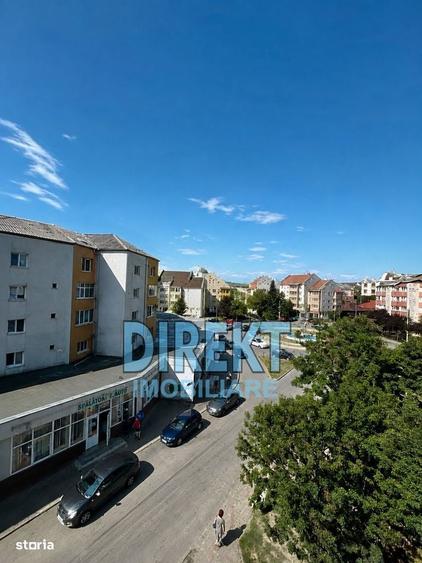 Apartament 2 camere de vanzare, Sensul Vechi - 3