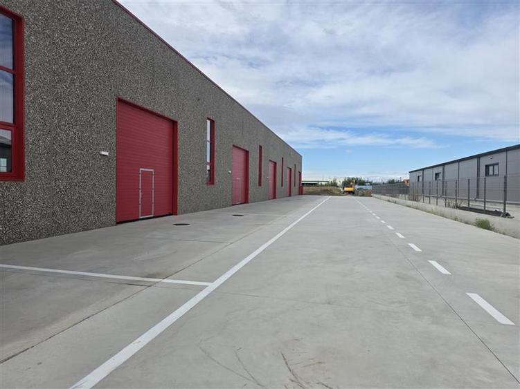 Vanzare depozit/spatiu industrial/hala Chitila - Rudeni, ILFOV - 5