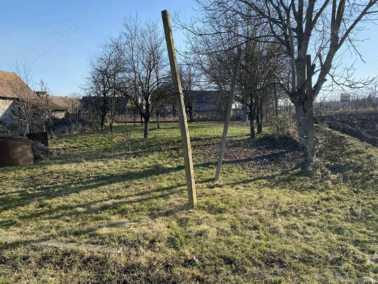 Casă cu 2 camere în Central