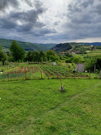 Casă cu 3 camere în Bălnaca