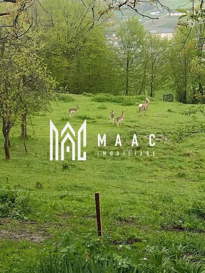 Teren Construcții intravilan de 8000 mp, în Periferie