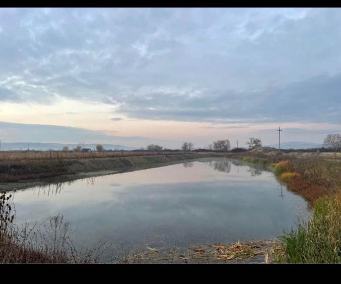 Teren de 8700 mp, în Coșlariu