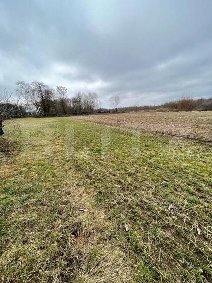 Teren Construcții intravilan de 5775 mp, în Gălănești