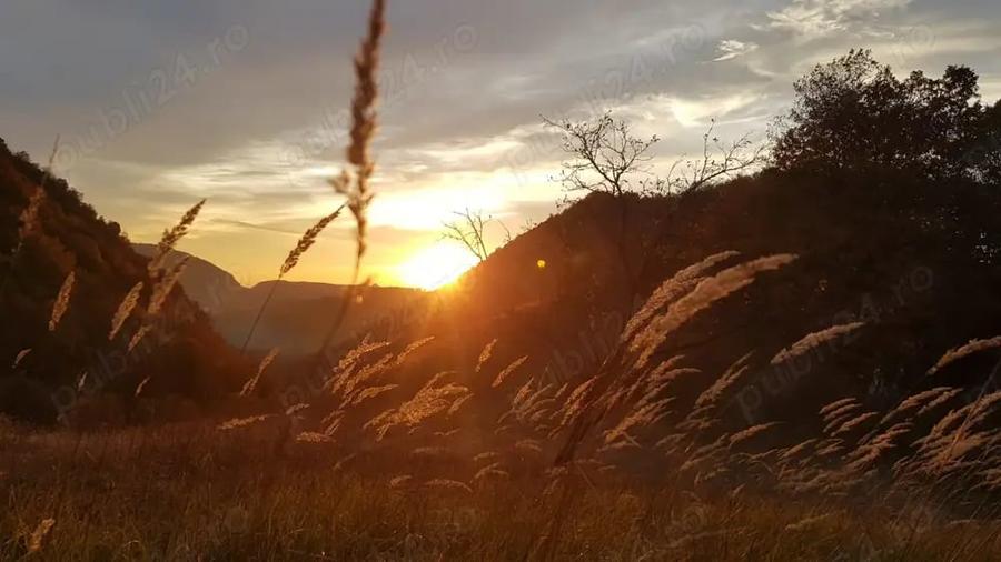 Teren de 8500 mp, în Hărțăgani