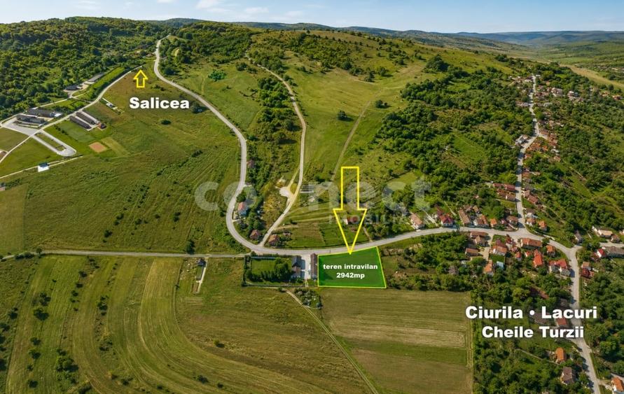 Teren Construcții intravilan de 2942 mp, în Ciurila