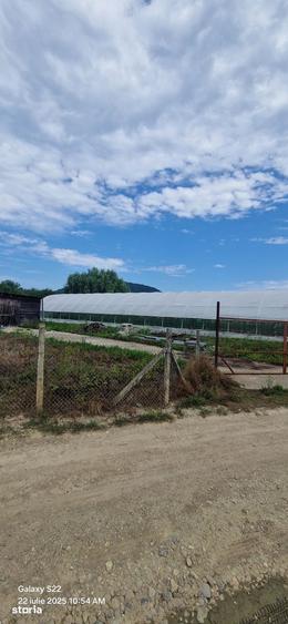 Teren de 2600 mp, în Vețel