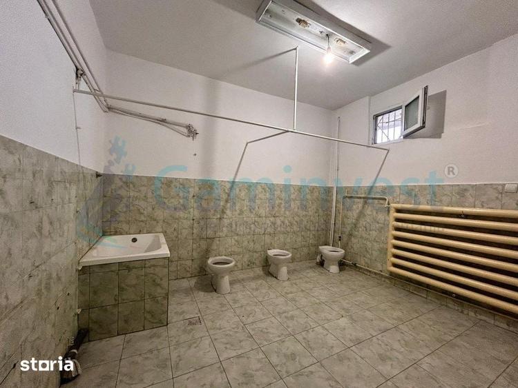 Spațiu comercial, de 401 mp, în Nufărul