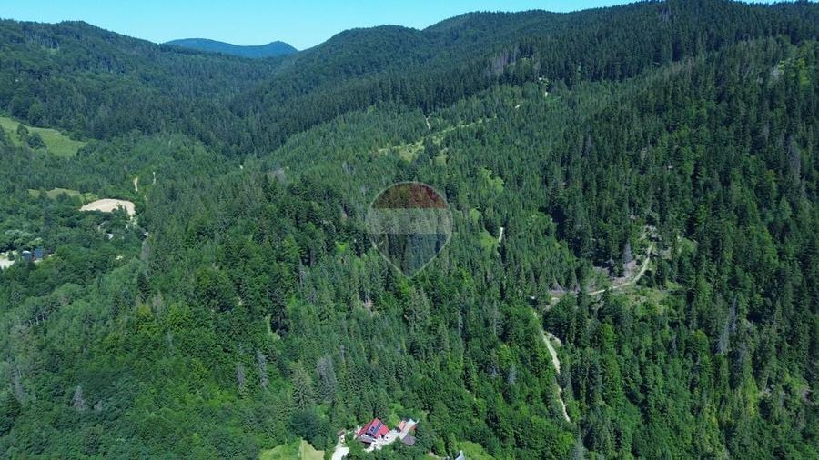 Teren de 120000 mp, în Sucevița