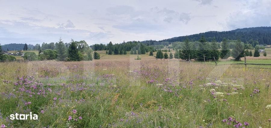 Teren intravilan, 5.869 mp, zona Carlibaba - Vatra Dornei - 1