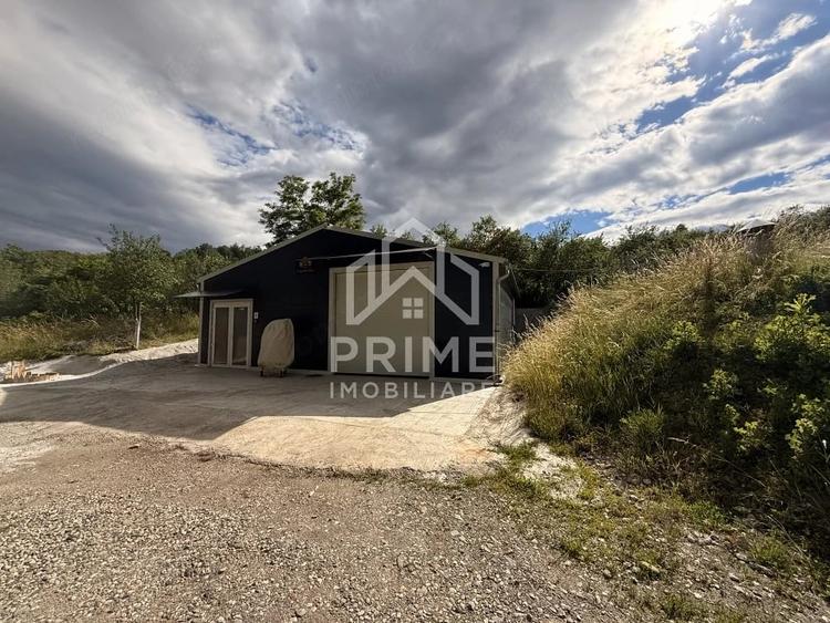 Spațiu comercial, de 210 mp, în Cricău