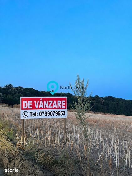 4 LOTURI TEREN DE 400MP LA 18.000 EURO(POSIBILITATE RATE LA PROPRIETAR - 2