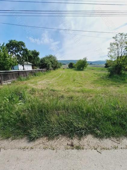 Teren de 4500 mp, în Siliștea