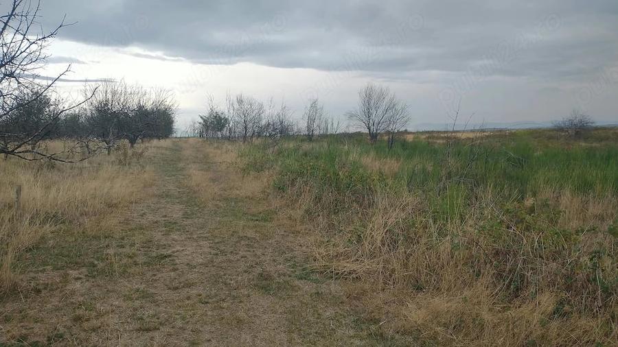 Teren de 844 mp, în Lăpuș