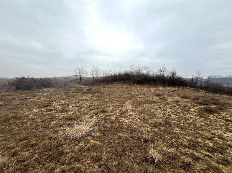 Teren agricol extravilan de 905 mp, în Sigmir