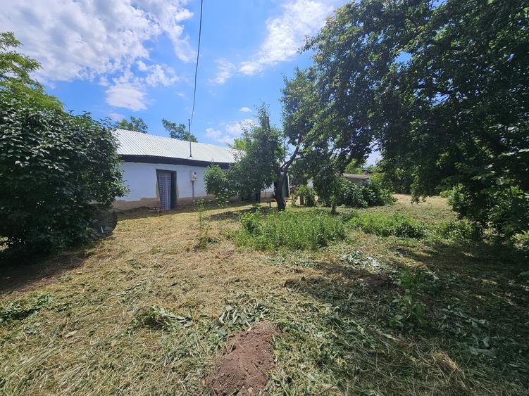 Casă cu 3 camere în Movila Miresii