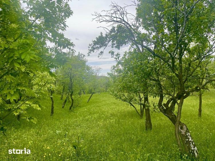 Teren de 6762 mp, în Șotrile