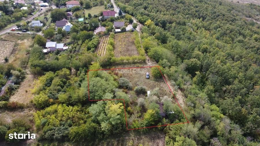 Teren intravilan IASI - COPOU - VITICULTORI - in vecinatatea padurii