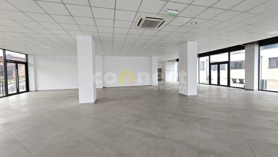 Birou, de 305 mp, în Dâmbul Rotund