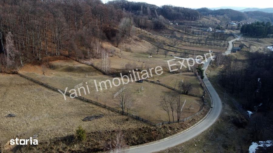 Teren de 4681 mp, în Cicănești