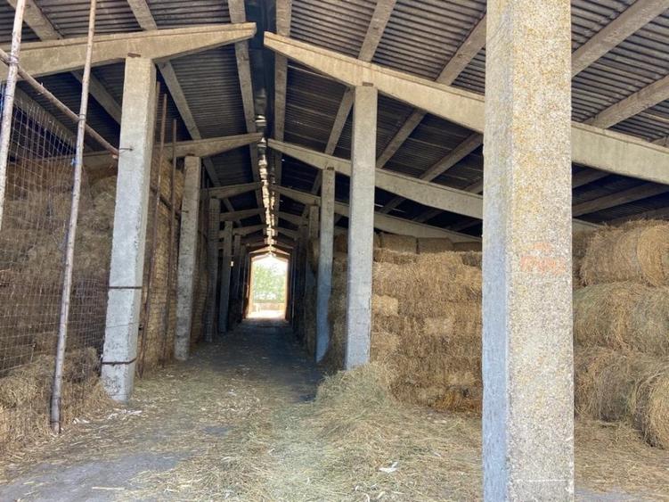 Proprietate specială, de 370,000 mp, în Cotorca
