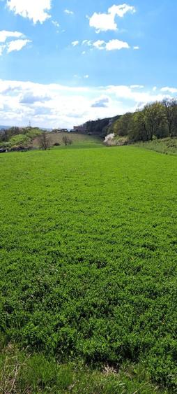 Vand, 1 ha ,teren intravilan in zona Unirii. - 6