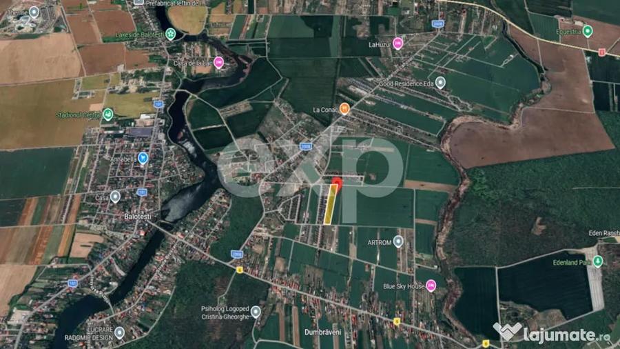 Teren 10.000mp parcelat Balotesti - 3