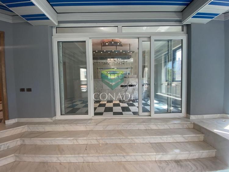 Casă individuală cu 13 camere cu Piscina în Cotroceni