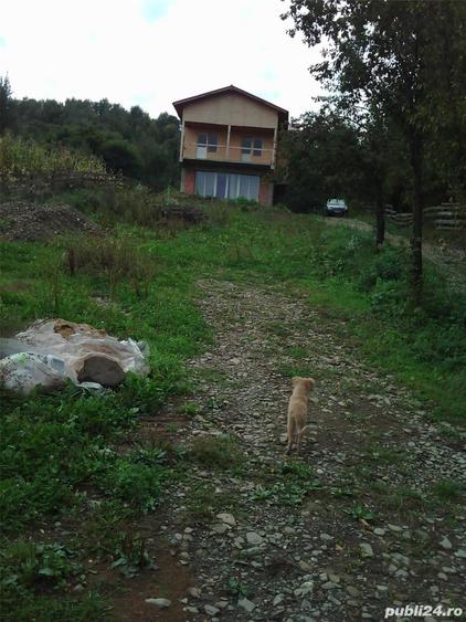 Casă cu 12 camere cu Teren 958 Mp în Homorâciu