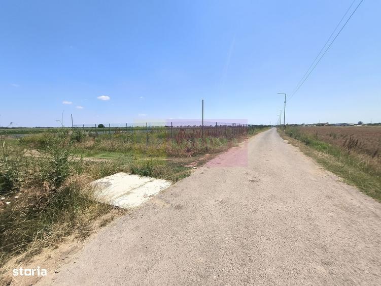 Teren pentru casa aproape de Bucuresti - 6