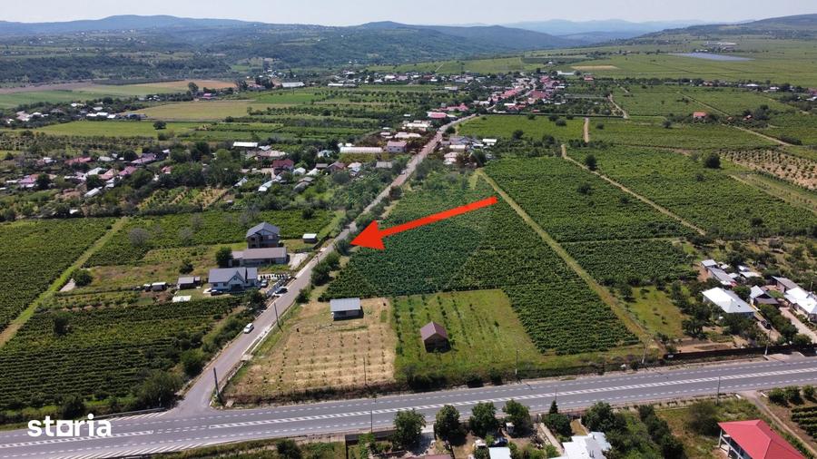 Casă cu 4 camere cu Teren 1991 Mp în Slobozia Bradului