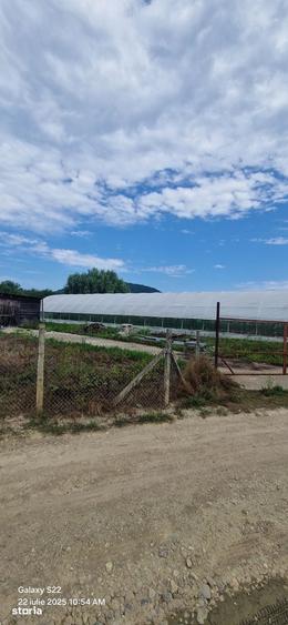 Teren de 2600 mp, în Vețel