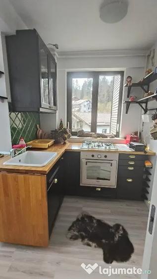 Garsonieră decomandată în Clăbucet
